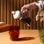Bodum french press do kawy i herbaty